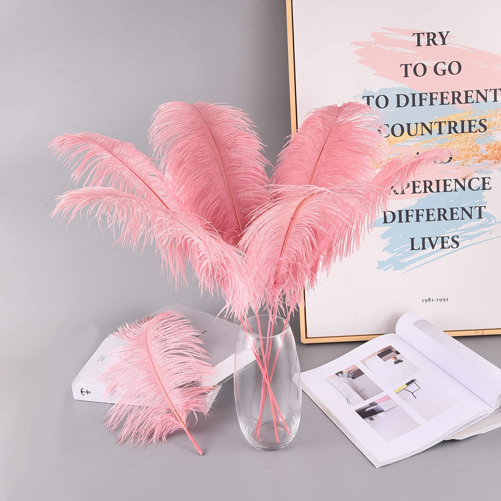 Ballinger Black Ostrich Feathers Bulk - Making Kit 12Pcs 16-18inch Large Ostrich Feathers for Floral Arrangement, Vase, Wedding Party Centerpieces and Halloween Home Decor