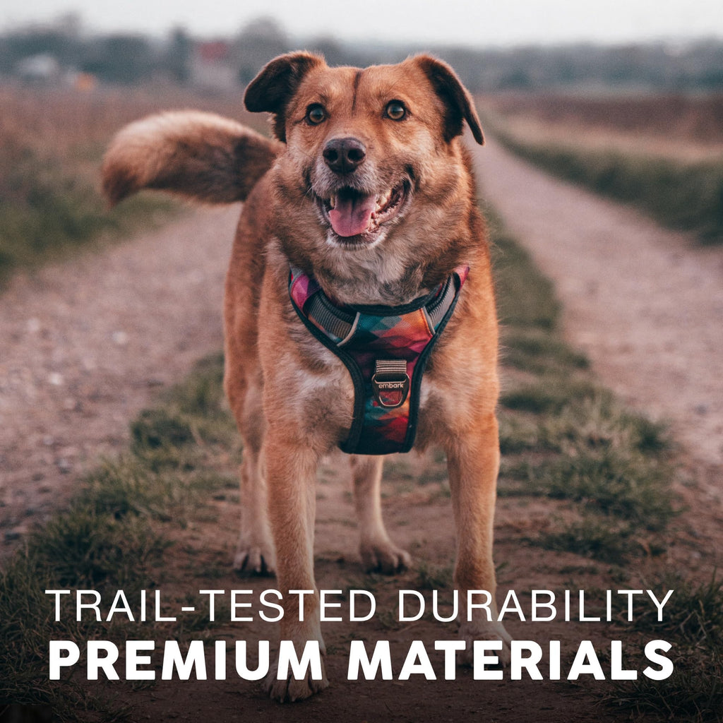 Embark Adventure Dog Harness for Small, Medium & Large Dogs – No Pull, Reflective Trim, Heavy Duty Oxford, 2 Leash Clips, Gel-Lined Handle, Soft Padded
