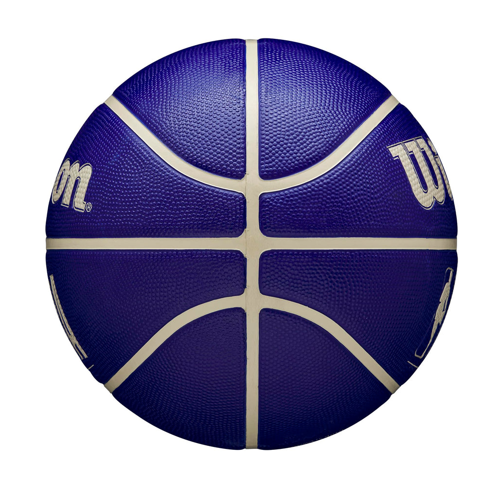 WILSON NBA DRV Outdoor Basketball - Indigo/Beige, Size 5-27.5"