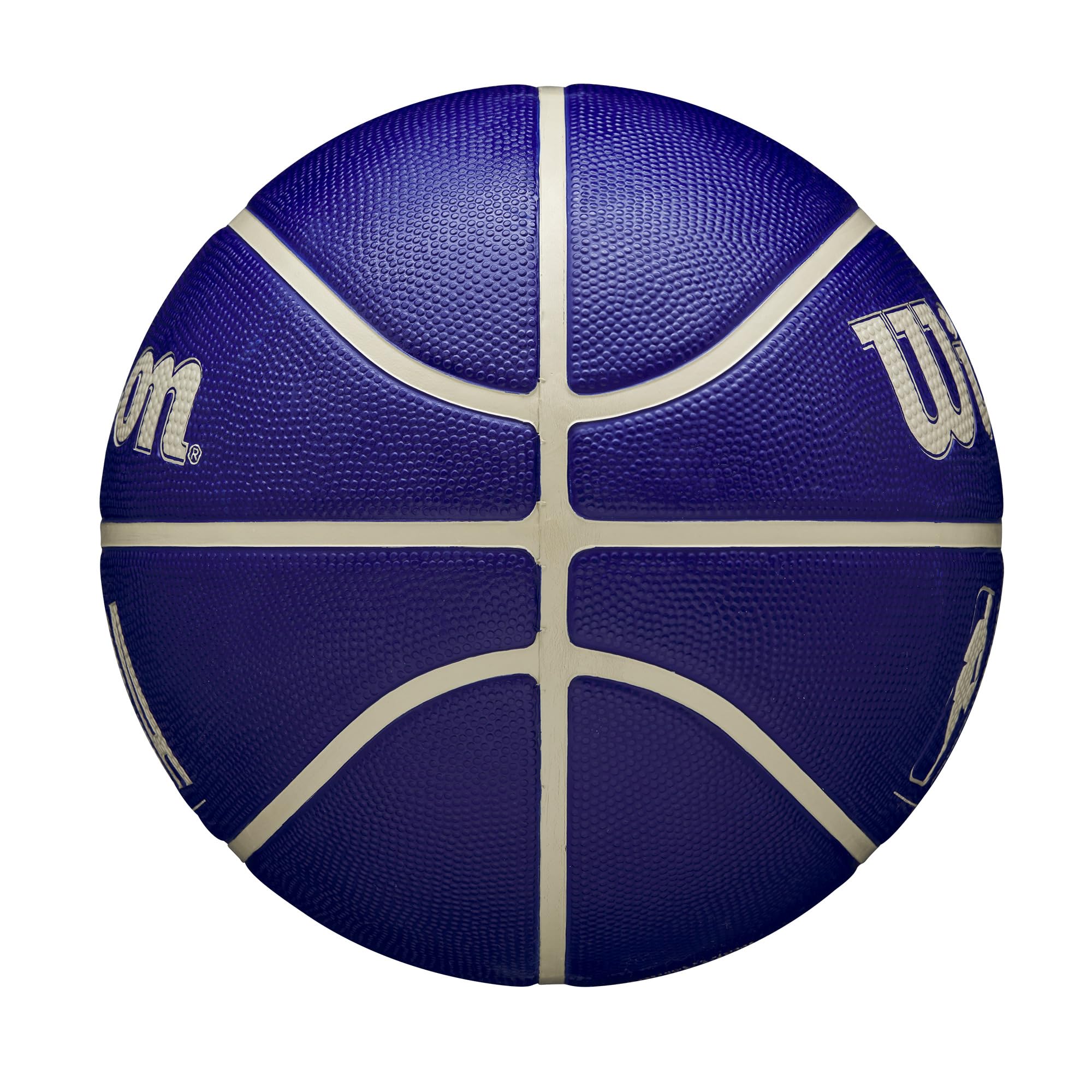 WILSON NBA DRV Outdoor Basketball - Indigo/Beige, Size 5-27.5"