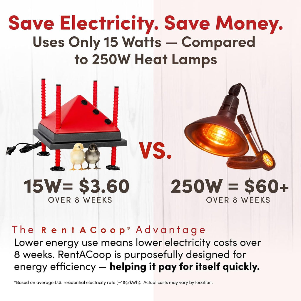 RentACoop 10x10” Adjustable Heating Plate with Bonus Foldable Anti-Roost Cone for up to 15 Chicks | Chick Brooder Heat Plate – Energy-Efficient 15-Watt Chick Heater - Safer Than Heat Lamps