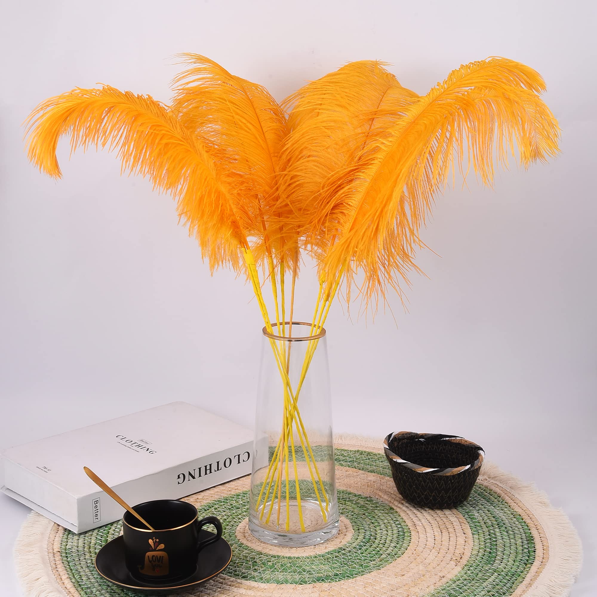 Ballinger Black Ostrich Feathers Bulk - Making Kit 12Pcs 16-18inch Large Ostrich Feathers for Floral Arrangement, Vase, Wedding Party Centerpieces and Halloween Home Decor