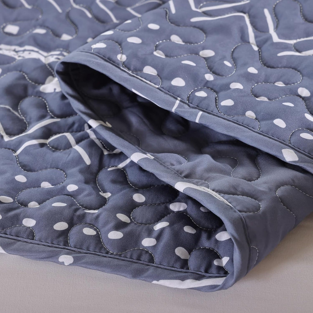JANZAA Queen Quilt Set 3 PCS, Microfiber Boho Bedspread Set Reversible Coverlet Set with Pillow Cases for All Season (Bluish Greyjihe, Queen)…