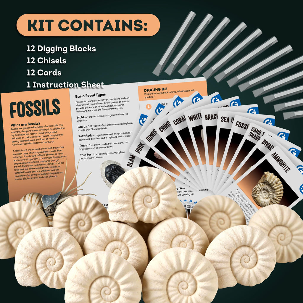Gamerside Fossil Dig Kit - Educational STEM Science Toys for Kids Ages 6+ - Dig Up 12 Fossils Real & Dinosaur Bones Rocks - Digging Activities Kits - Paleontology, Discovery Gifts for Boys & Girls