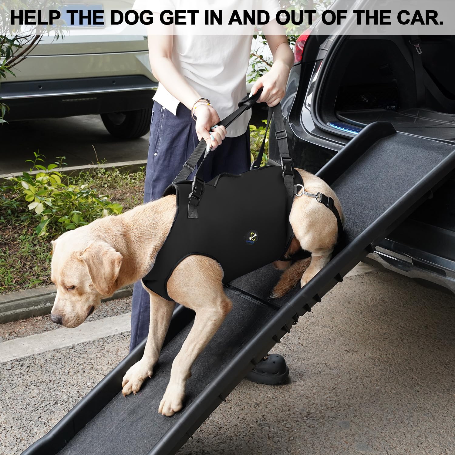 Coodeo Dog Lift Harness, Pet Support & Rehabilitation Sling Lift Adjustable Padded Breathable Straps for Old, Disabled, Joint Injuries, Arthritis, Loss of Stability Dogs Walk (Black, XS)