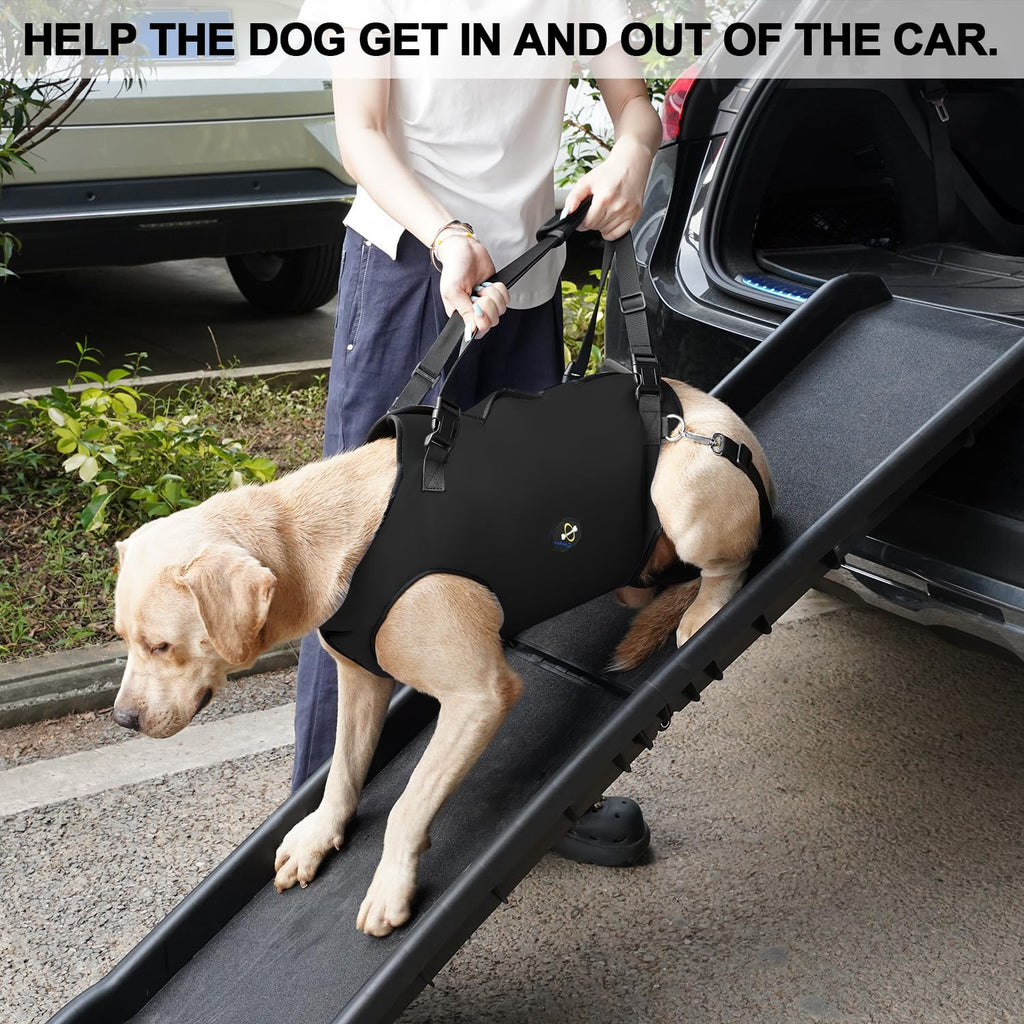 Coodeo Dog Lift Harness, Pet Support & Rehabilitation Sling Lift Adjustable Padded Breathable Straps for Old, Disabled, Joint Injuries, Arthritis, Loss of Stability Dogs Walk (Black, XS)
