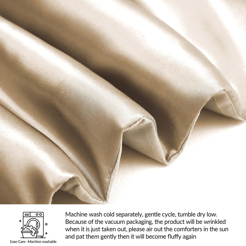 Whale Flotilla 2-Piece Reversible Silky Soft Twin Size Comforter Bedding Set, Luxurious Satin Comforters with Satin Pillowcase, Lightweight Duvet for All Seasons, Black