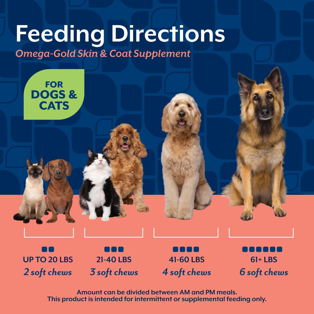 NaturVet – Salmon Oil Skin & Coat Plus Omegas – Supports Healthy Skin & Glossy Coat – Source of Omega-3 & 6 Fatty Acids – for Dogs & Cats (8.75 oz Oil)
