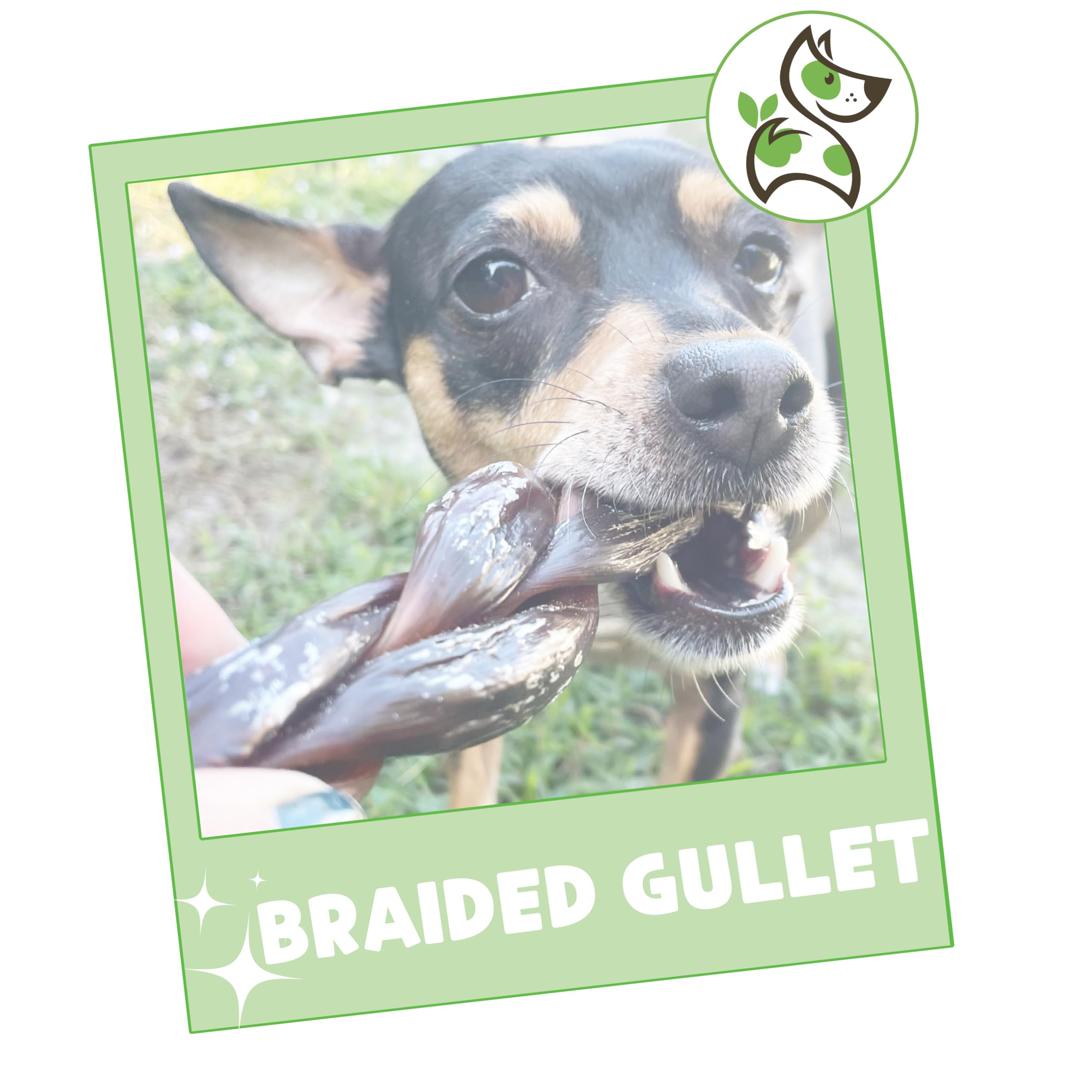 Nature Gnaws Beef Gullet Chews for Small Dogs 4-5" (20 Count) - Natural Beef Jerky Stick Dog Chew Treats - Rawhide Free