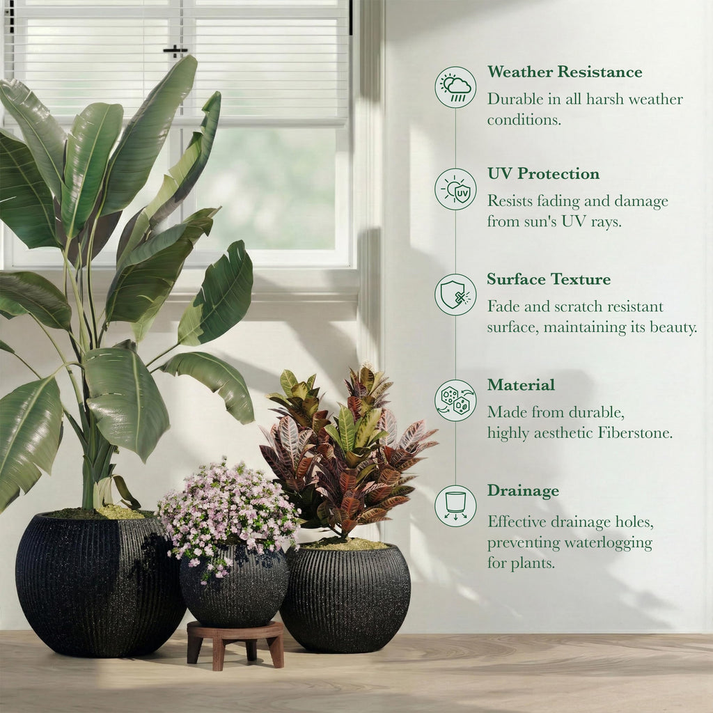 DTY Fiberstone Globe Planter Indoor Outdoor — Lightweight Sphere Ball Pot for Olive Tree, Monstera & Palm | Fiberglass Stone | UV Resistant, Drainage Hole | 2 Coco Mats | Black | 12.6" D × 10" H