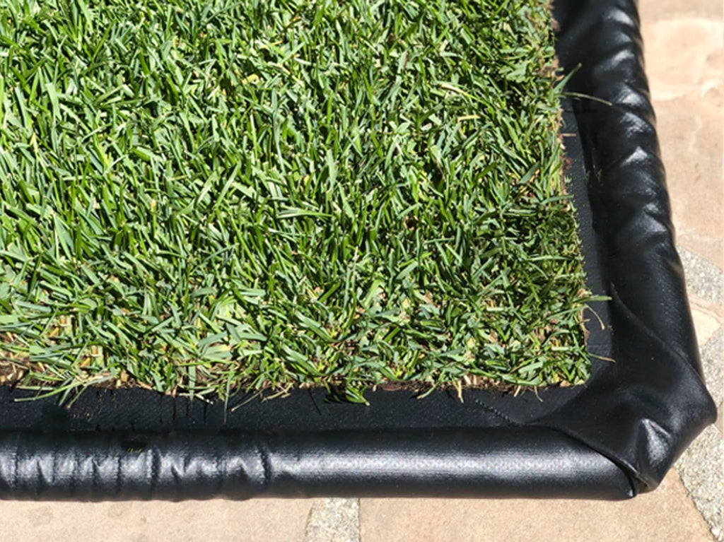 DoggieLawn XL - Real Grass Disposable Potty Training Puppy Pee Pads, Dog Grass Pee Pad, Potty Training Pee Pad, Puppy and Dogs Grass Pee Pads, Puppy Grass Pads, 48 x 24 Inches with Reusable FlexTray