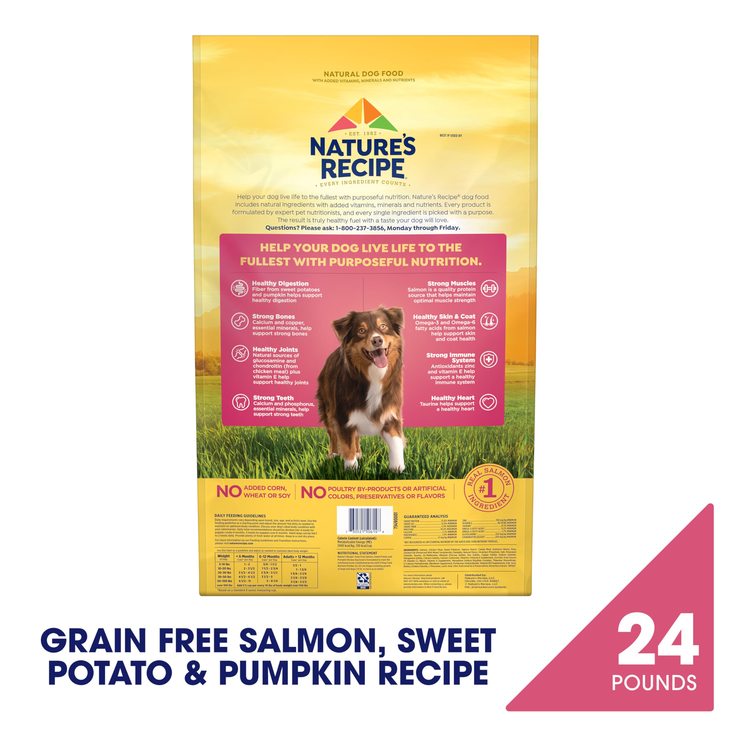 Nature's Recipe Grain Free Dry Dog Food, Salmon, Sweet Potato & Pumpkin Recipe, 4 lb. Bag