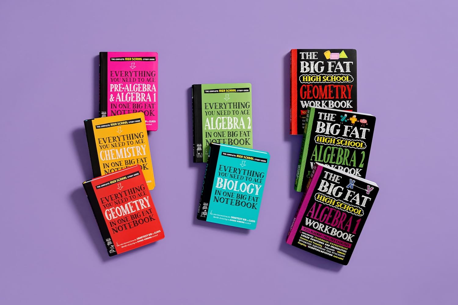 Everything You Need to Ace Pre-Algebra and Algebra 1 in One Big Fat Notebook
