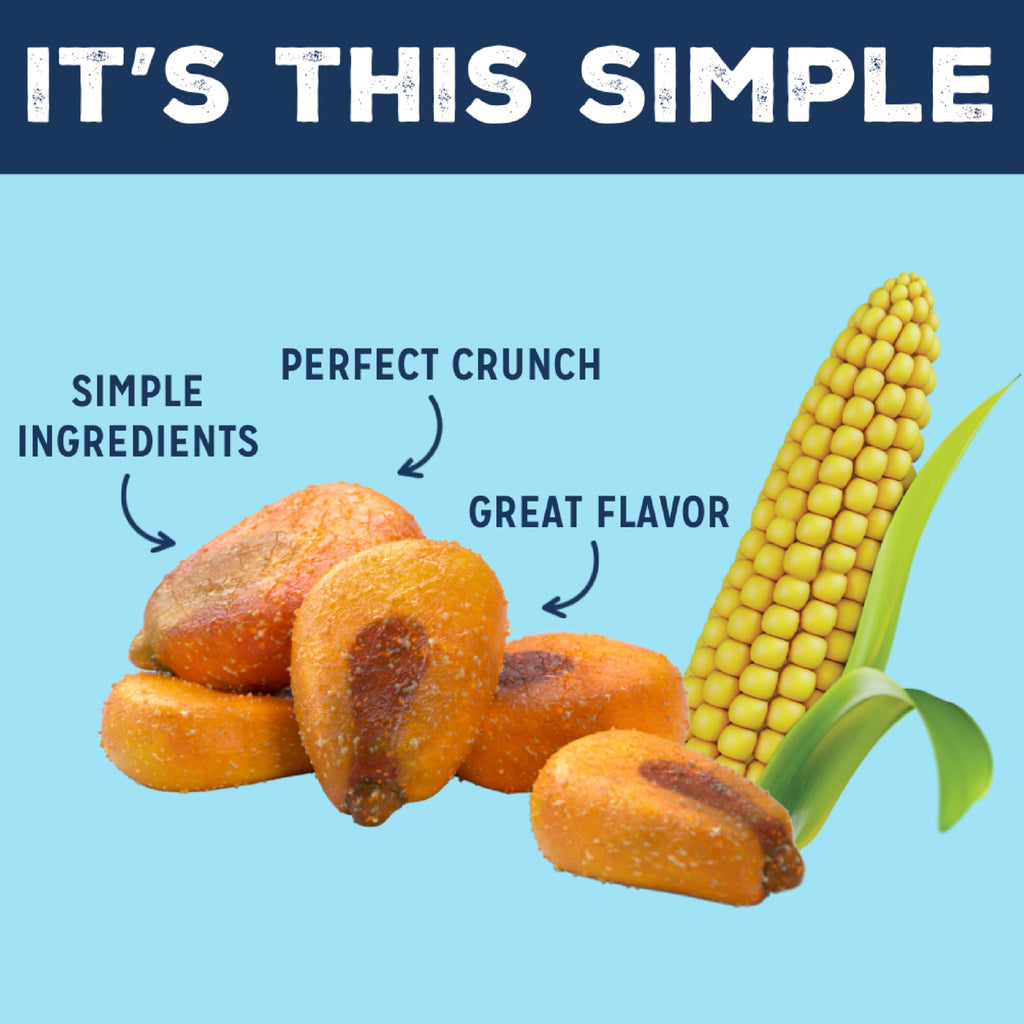 LOVE CORN Sea Salt – Crunchy Roasted Corn Snack, 3 Simple Ingredients, Gluten Free, Non-GMO, Zero Sugar, Vegan, Plant Based– Alternative to Chips, Nuts & Crackers – Office & On-the-Go Snacks – 4oz