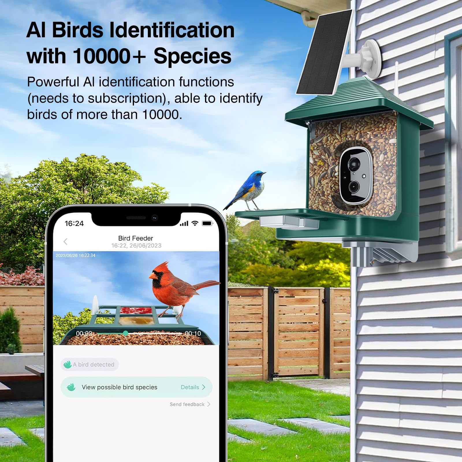 Smart Bird Feeder with Camera,AI Identify Species,Bird House with Solar Powered,Instant Arrival Alerts,2K Capture Video,Live View for Lover (Blackish Green)