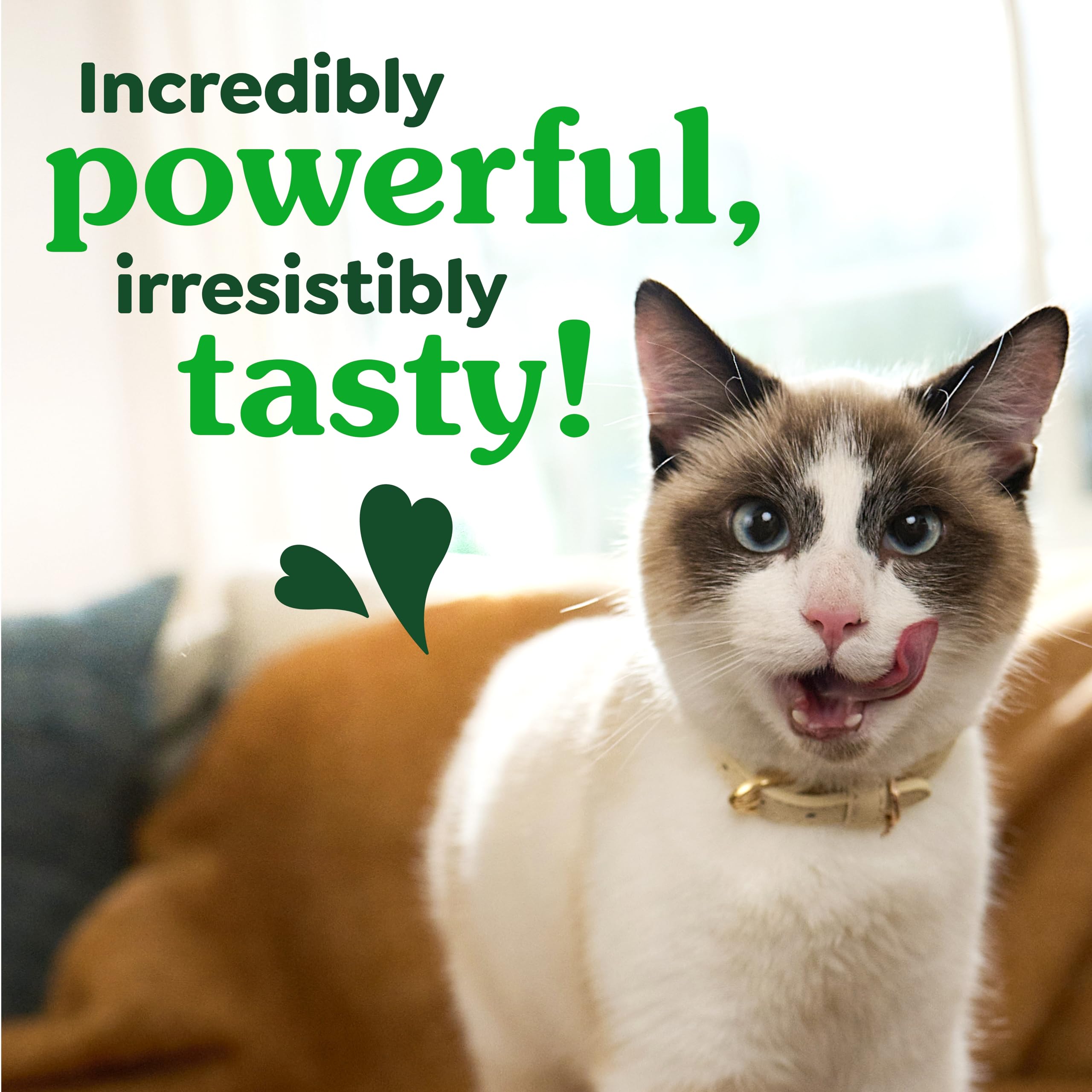 Greenies Cat Treats, Feline Veterinarian-Recommended Adult Natural Dental Treats, Catnip Flavor, 2.1 oz. Pouch