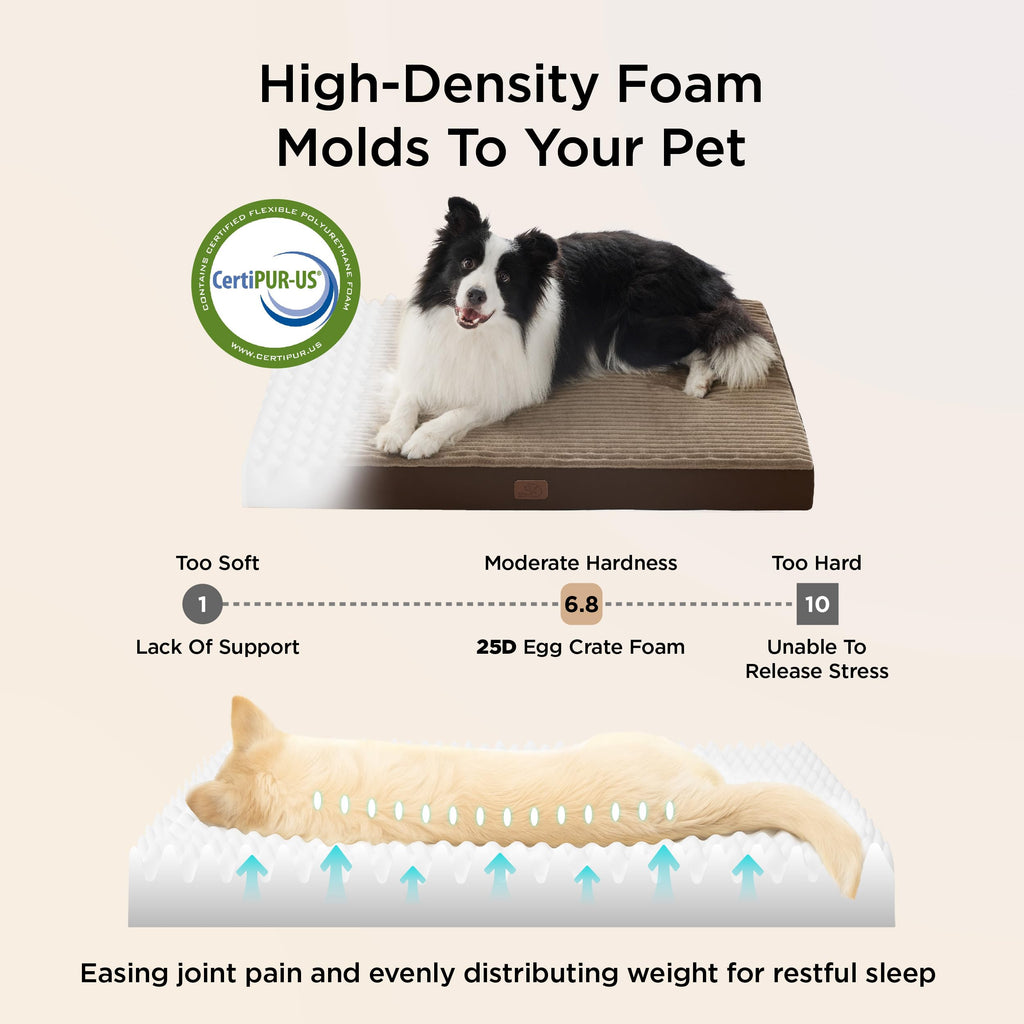 Bedsure ComfyFleece Dog Bed for Small Dogs - Orthopedic Pet Beds with Removable Washable Cover, NOT Waterproof Egg Crate Foam Puppy Mat, Suitable for Pet Up to 20 lbs, 23"x17"x2.8", NOT for Chewers