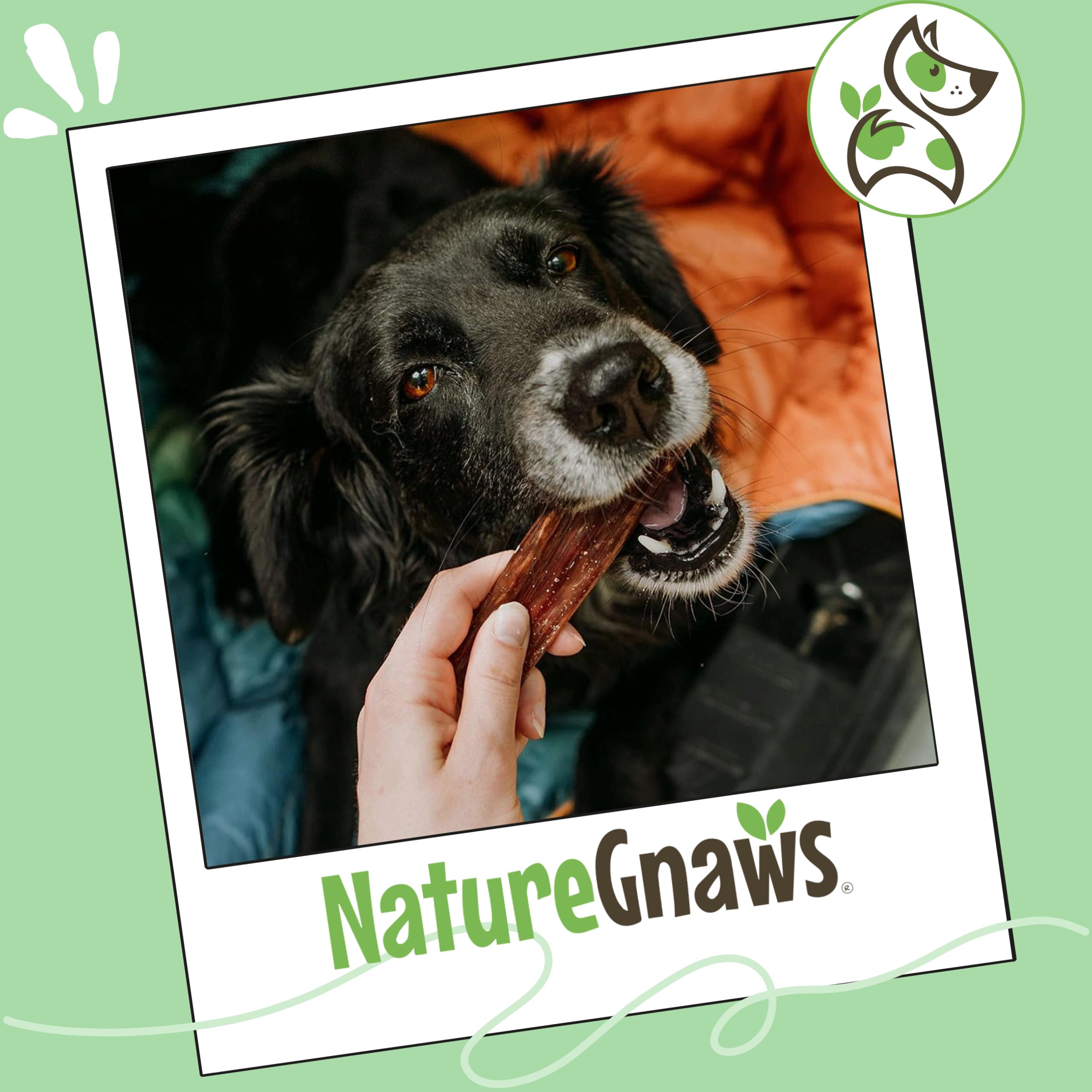 Nature Gnaws Beef Gullet Chews for Small Dogs 4-5" (20 Count) - Natural Beef Jerky Stick Dog Chew Treats - Rawhide Free