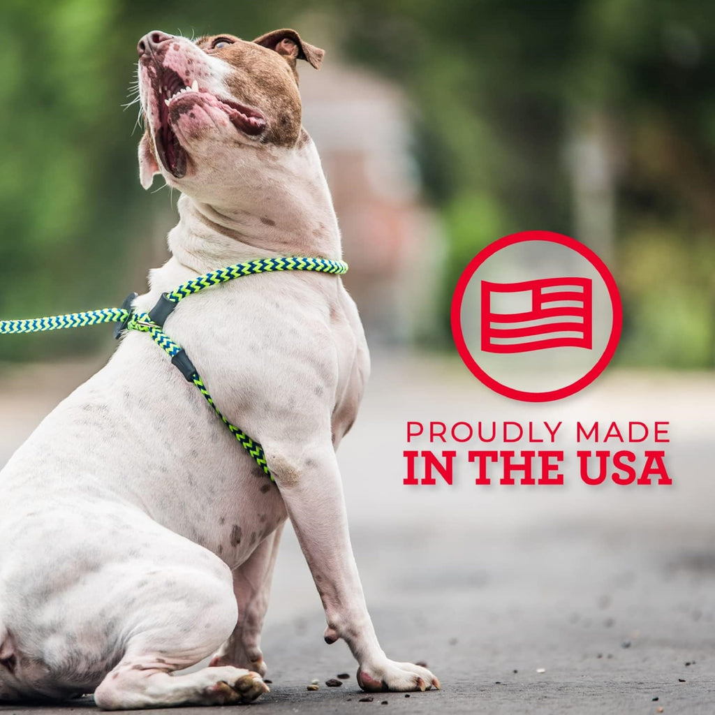 Harness Lead Escape Resistant, Reduces Pull Dog Harness, Medium/Large, Black