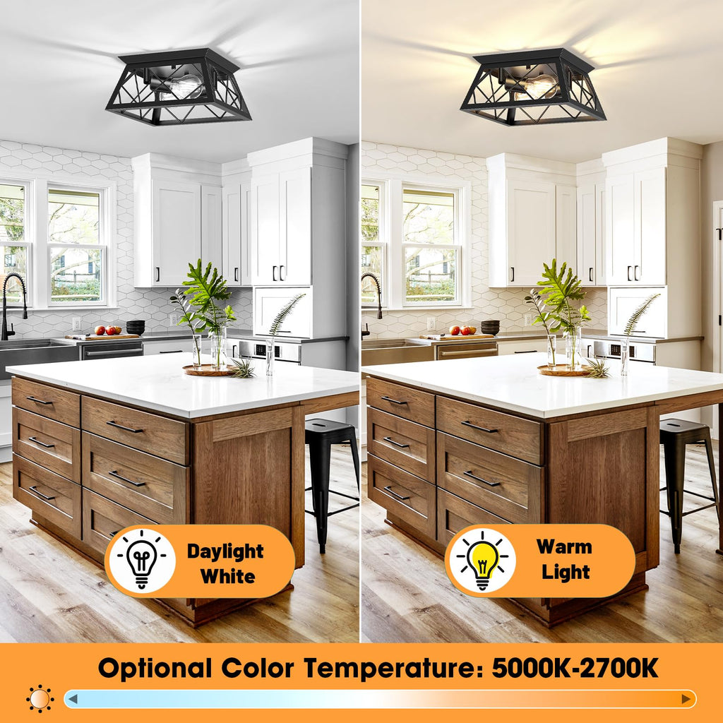 FadimiKoo 2-Light Black Flush Mount Ceiling Light Fixture, Industrial Hallway Light Fixtures Ceiling Mount for Farmhouse Kitchen, Square Cage Ceiling Lamp for Dining Room, Living Room, Entryway
