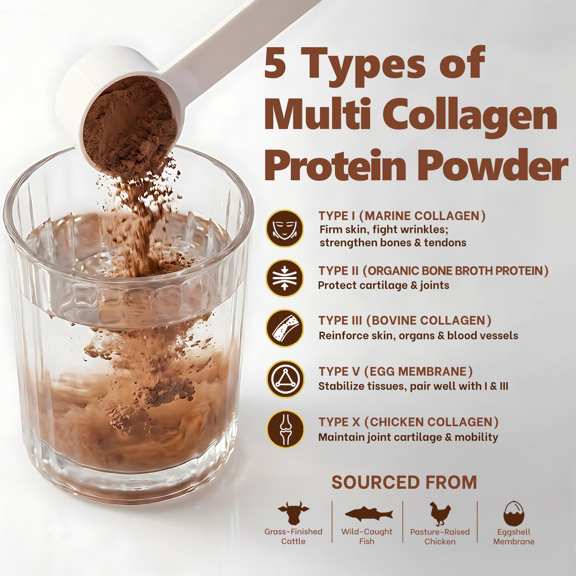 Zammex Multi Collagen Protein Powder, Type I & III & V & X, Hydrolyzed Collagen Peptides for Women & Men, Supports Hair and Skin, Gut Health, 41 Servings, Chocolate