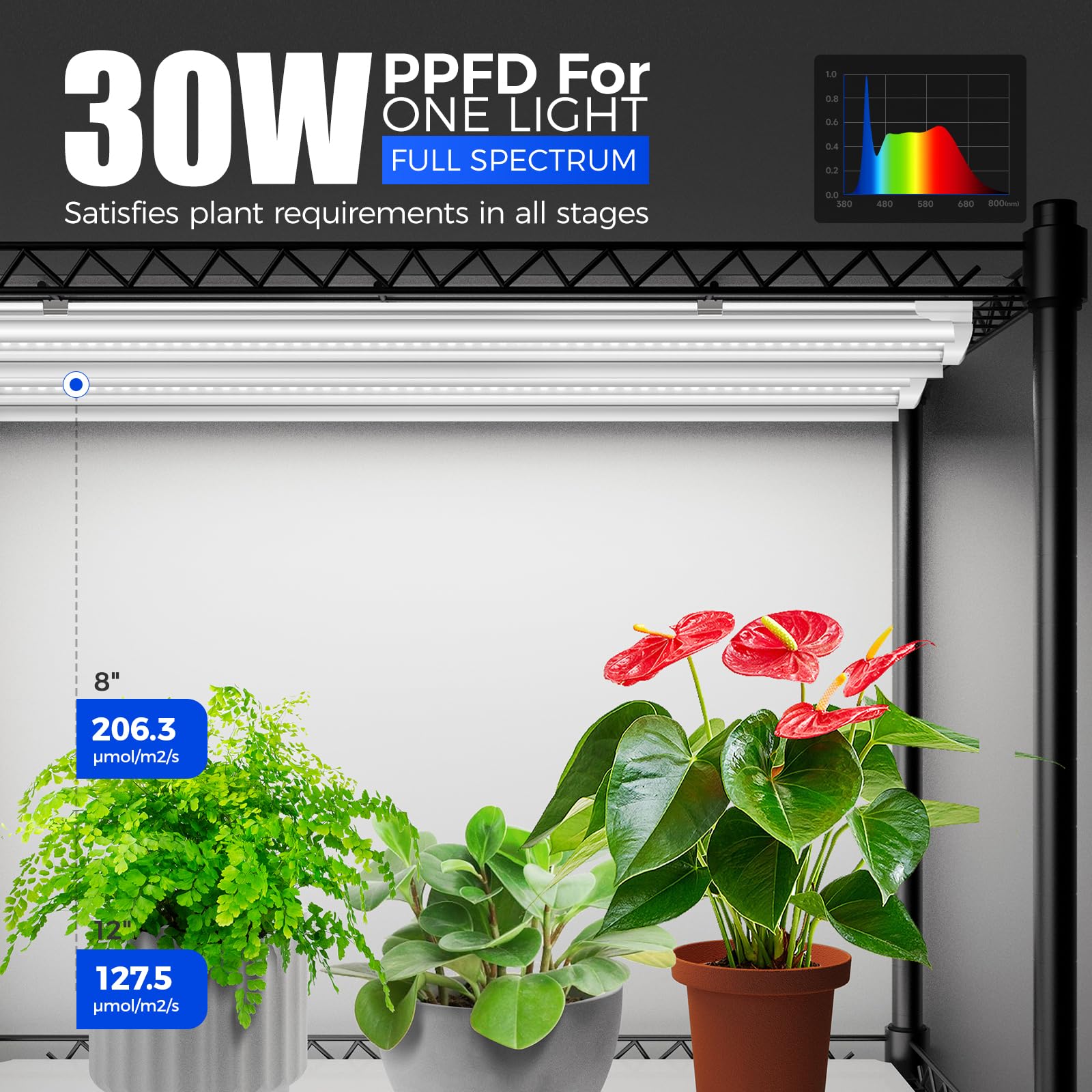 Barrina Indoor Greenhouse with Grow Light, with 40W Seed Starting LED Indoor Plant Light, Portable Mini Greenhouse with Timer for Seed Starter Tray, Seedling, Sprouting, Microgreens, 23x23x23IN