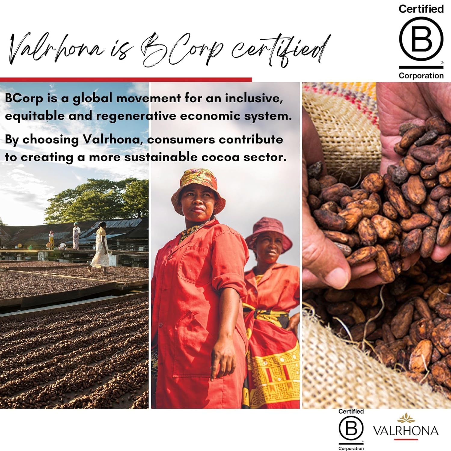 Valrhona Premium Baking Chocolate Discs (Feves), Creamy Milk JIVARA 40% w/Hints of Vanilla and Malt, and Dark Chocolate GUANAJA 70% w/Intense & Smooth with Bitter Notes, For Cookies, Cakes, and more