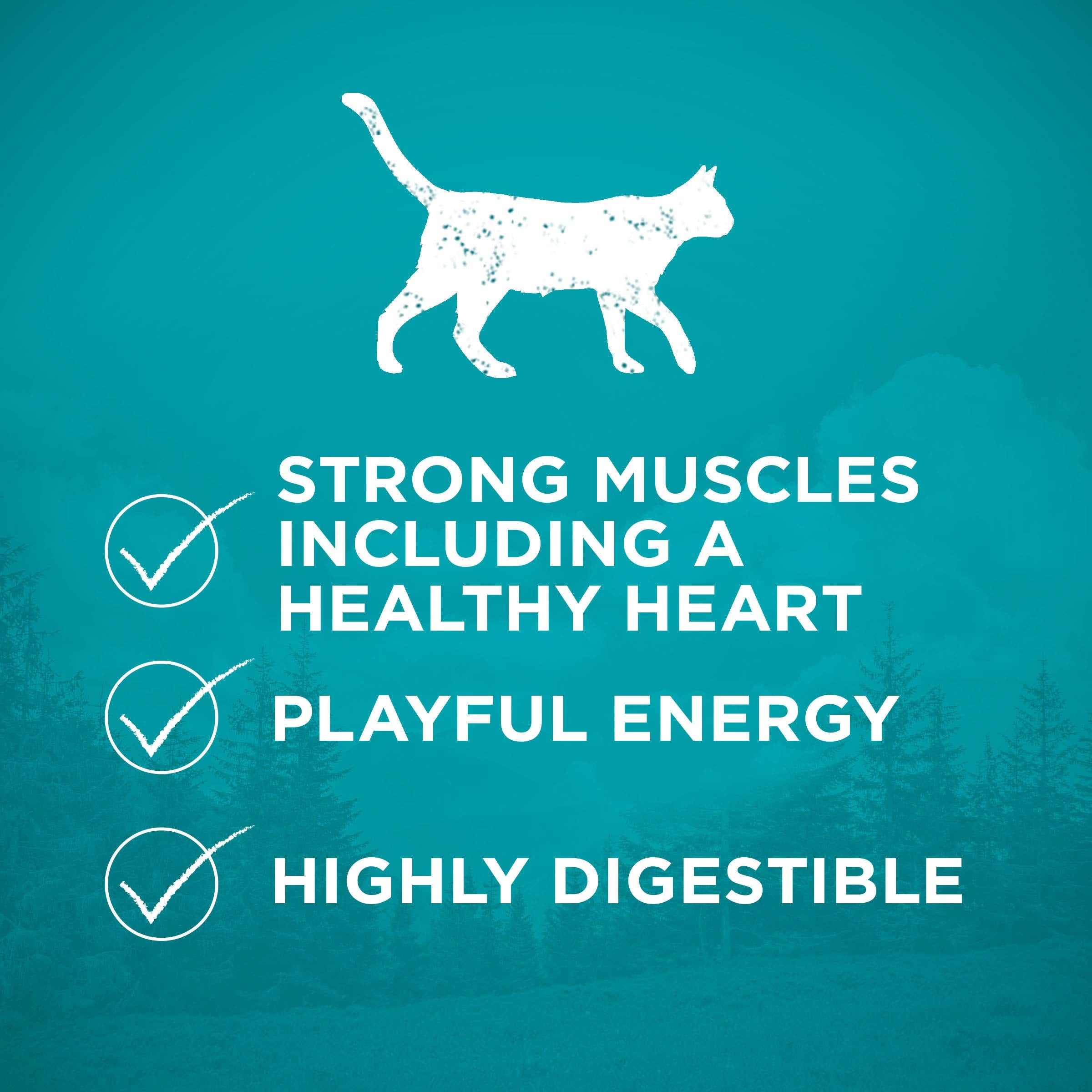 Purina ONE Natural High Protein Dry Dog Food Dry True Instinct with Real Beef and Salmon With Bone Broth and Added Vitamins, Minerals and Nutrients - 15 lb. Bag