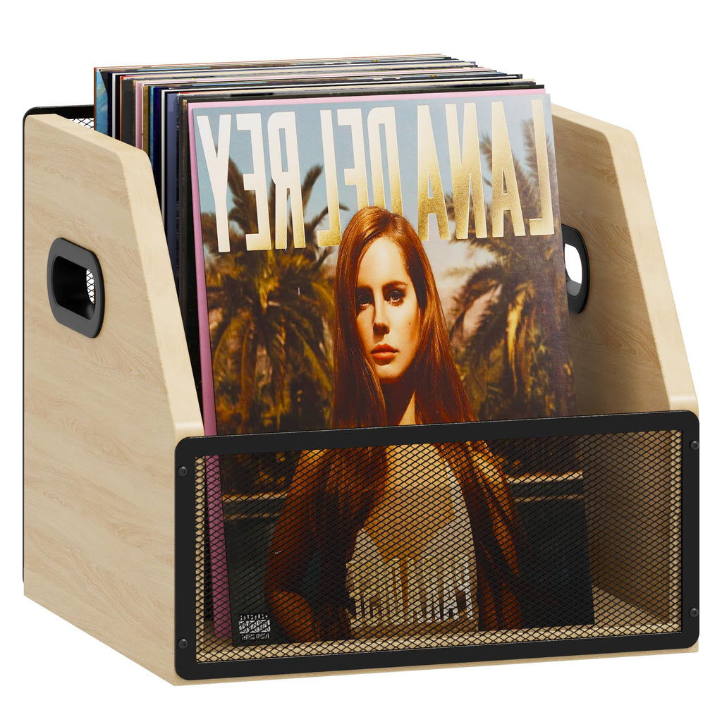 Homeiju Vinyl Record Storage, Record Box Case Crate, Vinyl Record Album Holder, Desktop Metal & Wooden LP Record Crate, Holds up to 60 Records（Patent No.D1024563