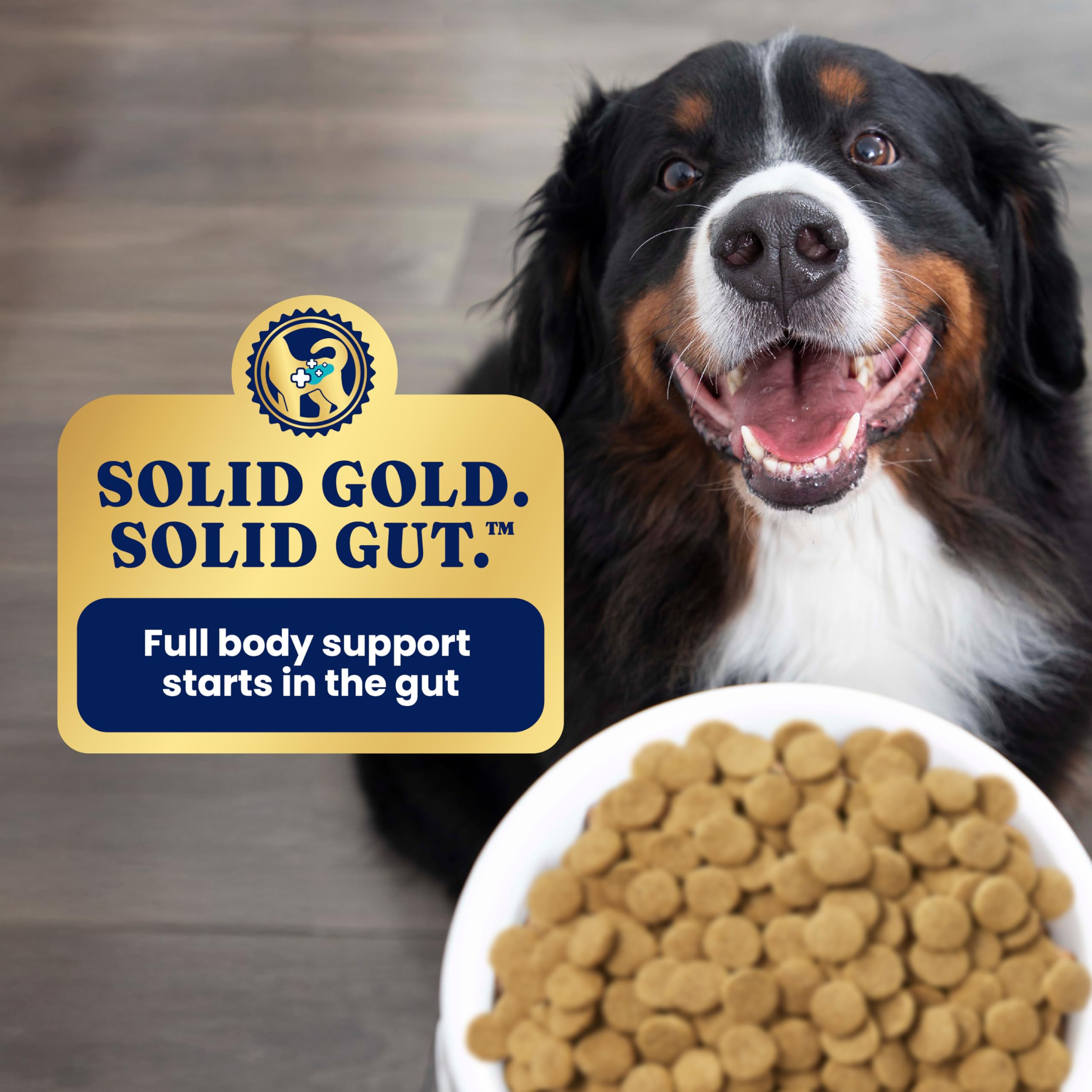 Solid Gold Toy & Small Breed Dry Dog Food Small Bites – Real Beef, Grain Free, Gluten Free, High Fiber Kibble with Probiotics for Gut Health & Digestion Support – Healthy Dog Food All Ages – 4LB