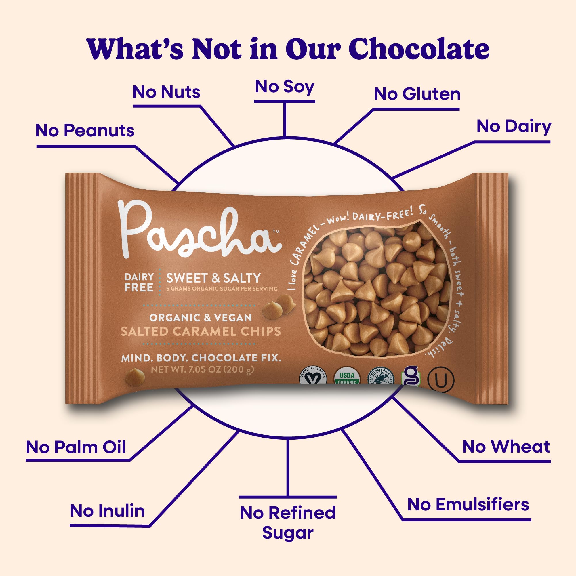 Pascha Organic 70% Cacao Baking Chips - Bittersweet Dark Chocolate with Coconut Sugar - Vegan, Non-GMO, Rainforest Alliance Certified - Allergen-Free (Pack of 8)
