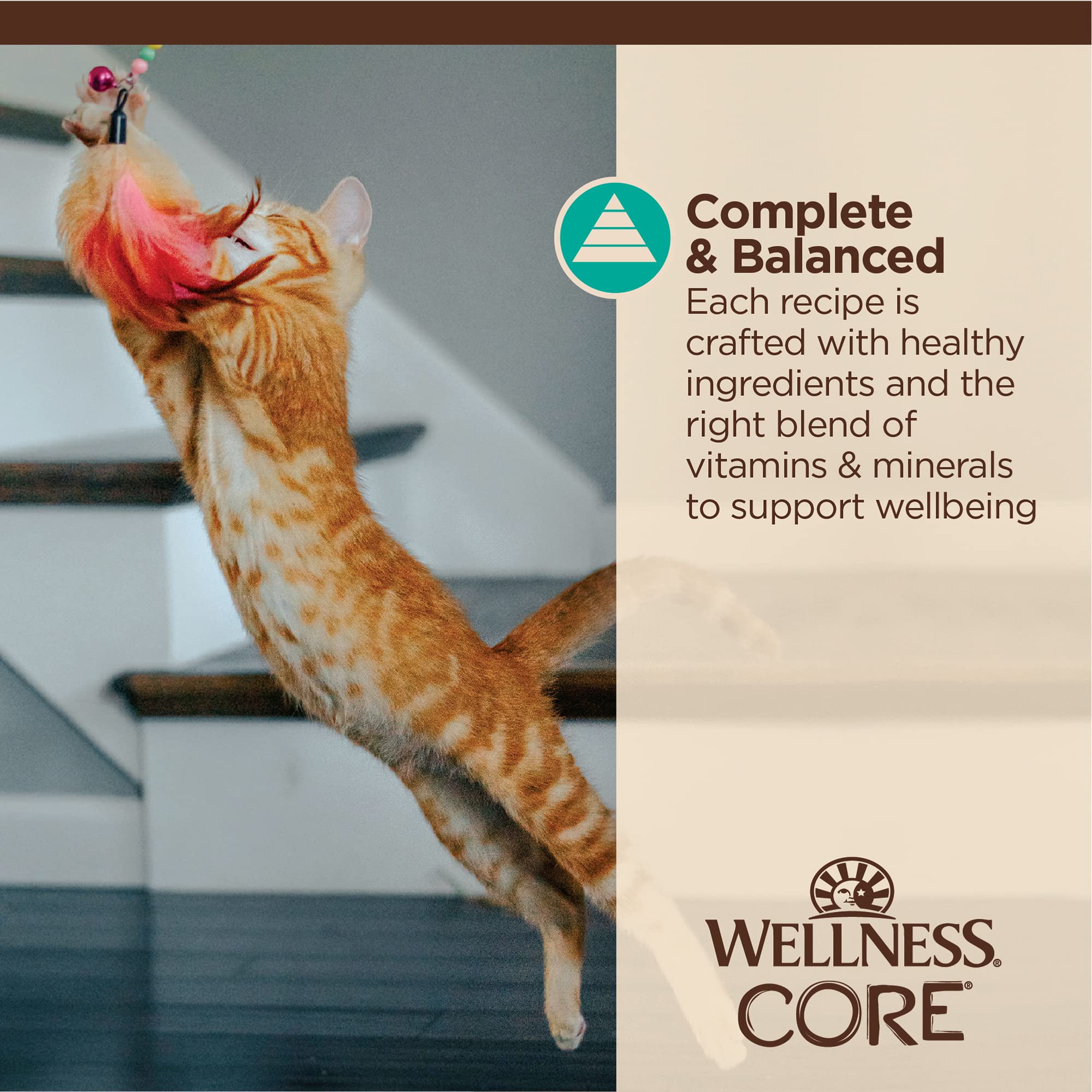 Wellness CORE Tiny Tasters Pate Adult Wet Cat Food, Natural, Protein Rich, Grain Free, Chicken Recipe, 1.75 oz, Pack of 12 Pouches
