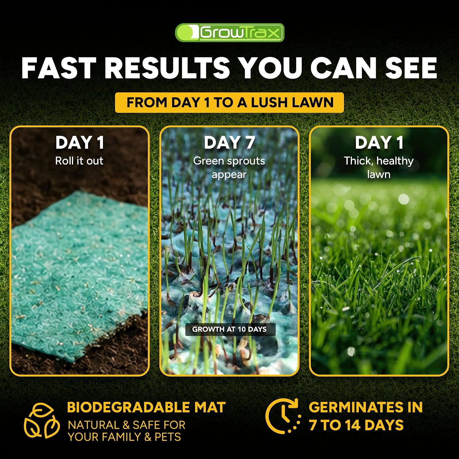 Growtrax Biodegradable Grass Seed - 100 SQFT Bermuda Rye - Grass Seed and Fertilizer for Lawns, Dog Patches & Shade - Just Water & Grow - No Fake or Artificial Grass