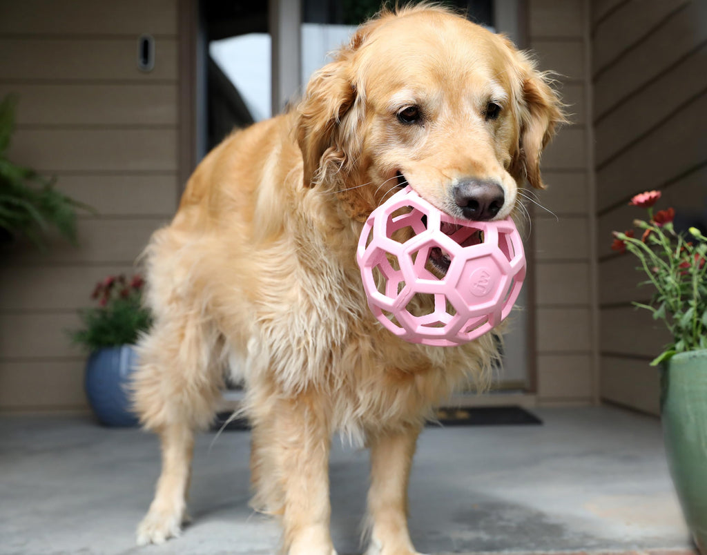 JW Pet HOL-ee Roller™, Dog Toy Puzzle Ball, Natural Rubber, Small (3 Inch Diameter), Blue