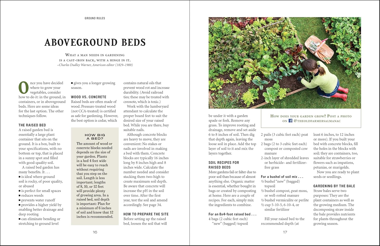 The Old Farmer's Almanac Vegetable Gardener’s Handbook: Essential Step-by-Step Advice for Growing Vegetables and Achieving Success