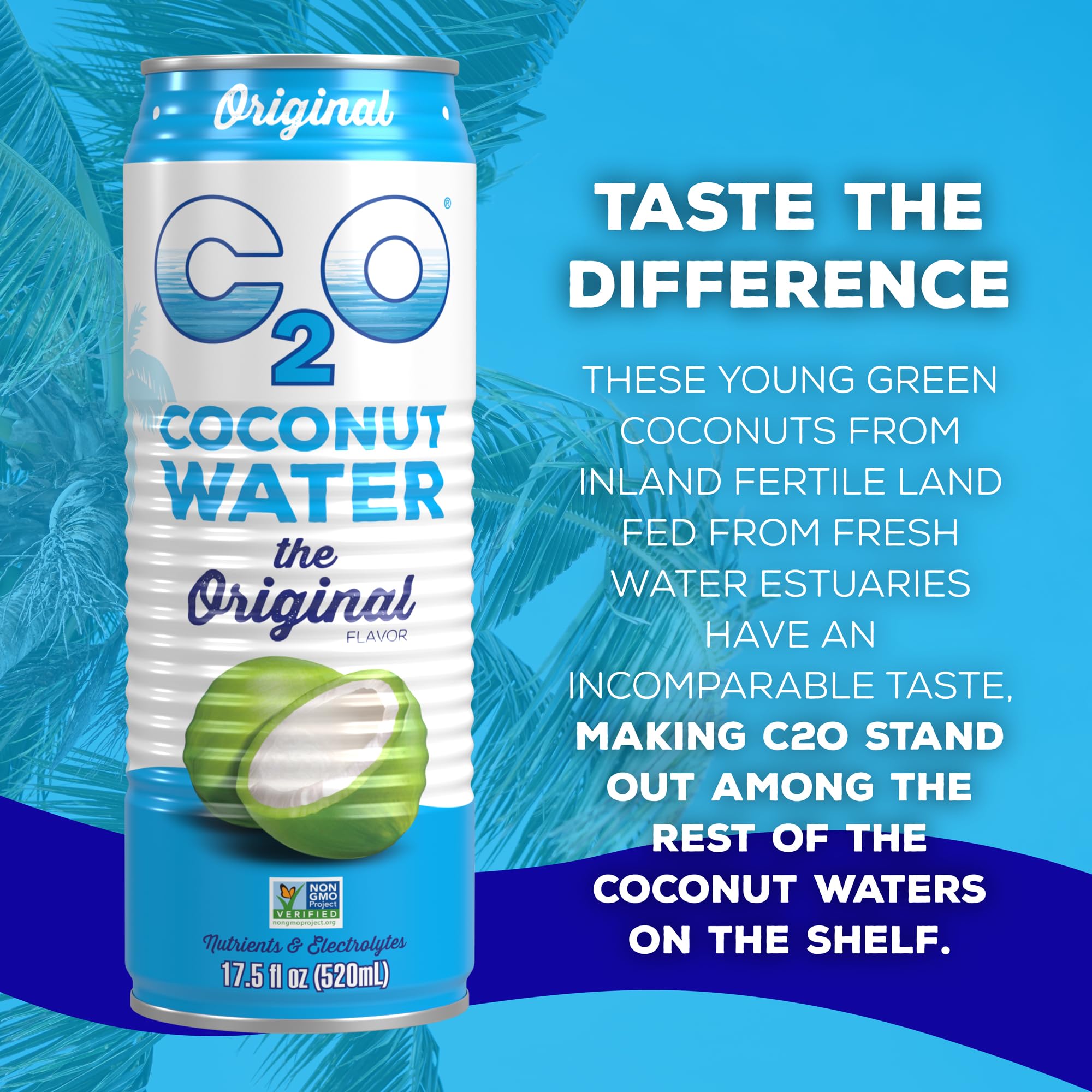 C2O - Coconut Water with Ginger, Lime, & Turmeric (12 Pack) - Made with Fresh Coconut Water - Plant Based - Non GMO - Canned Water - Natural Hydration, Electrolytes, & Potassium - 12 Cans, 17.5 FL OZ