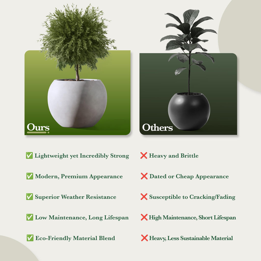 DTY Fiberstone Globe Planter Indoor Outdoor — Lightweight Sphere Ball Pot for Olive Tree, Monstera & Palm | Fiberglass Stone | UV Resistant, Drainage Hole | 2 Coco Mats | Black | 12.6" D × 10" H