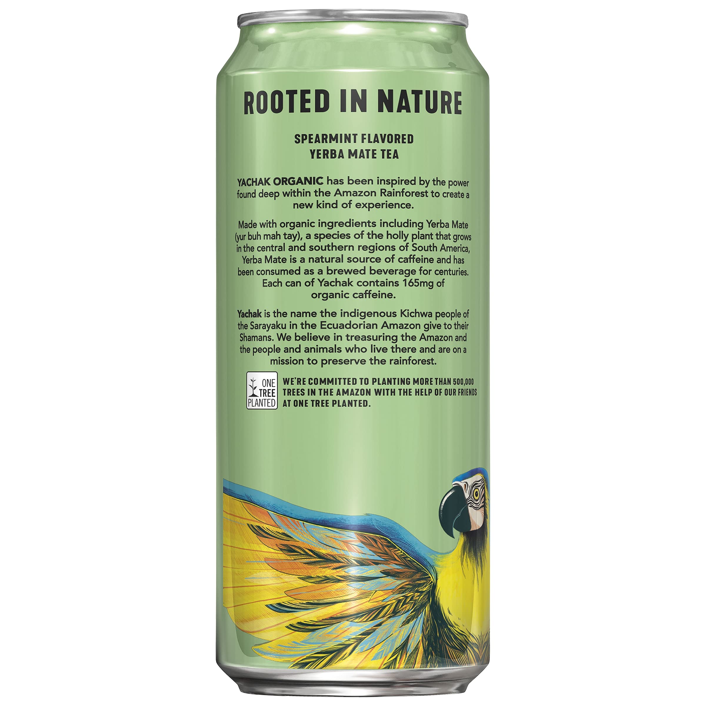 Yachak Yerba Mate Drink, Blackberry, 16 Fl Oz Cans, Pack of 12