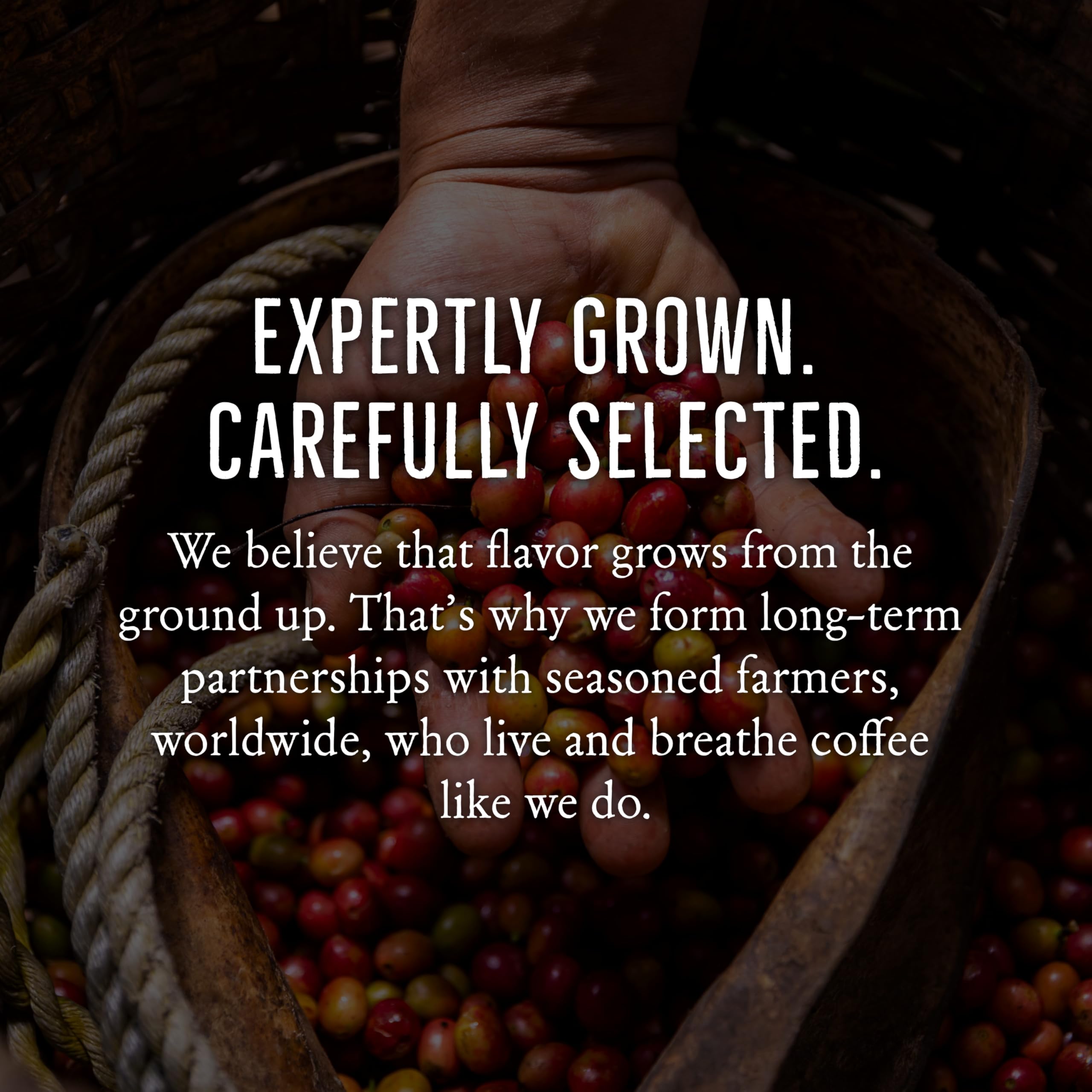 Mt. Comfort Coffee Costa Rica Medium Roast, 2.5lb - Sourced From Local, Costa Rican Coffee Farms - Roasted Whole Bean