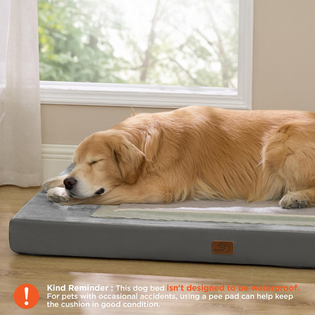 Bedsure ComfyFleece Dog Bed for Small Dogs - Orthopedic Pet Beds with Removable Washable Cover, NOT Waterproof Egg Crate Foam Puppy Mat, Suitable for Pet Up to 20 lbs, 23"x17"x2.8", NOT for Chewers
