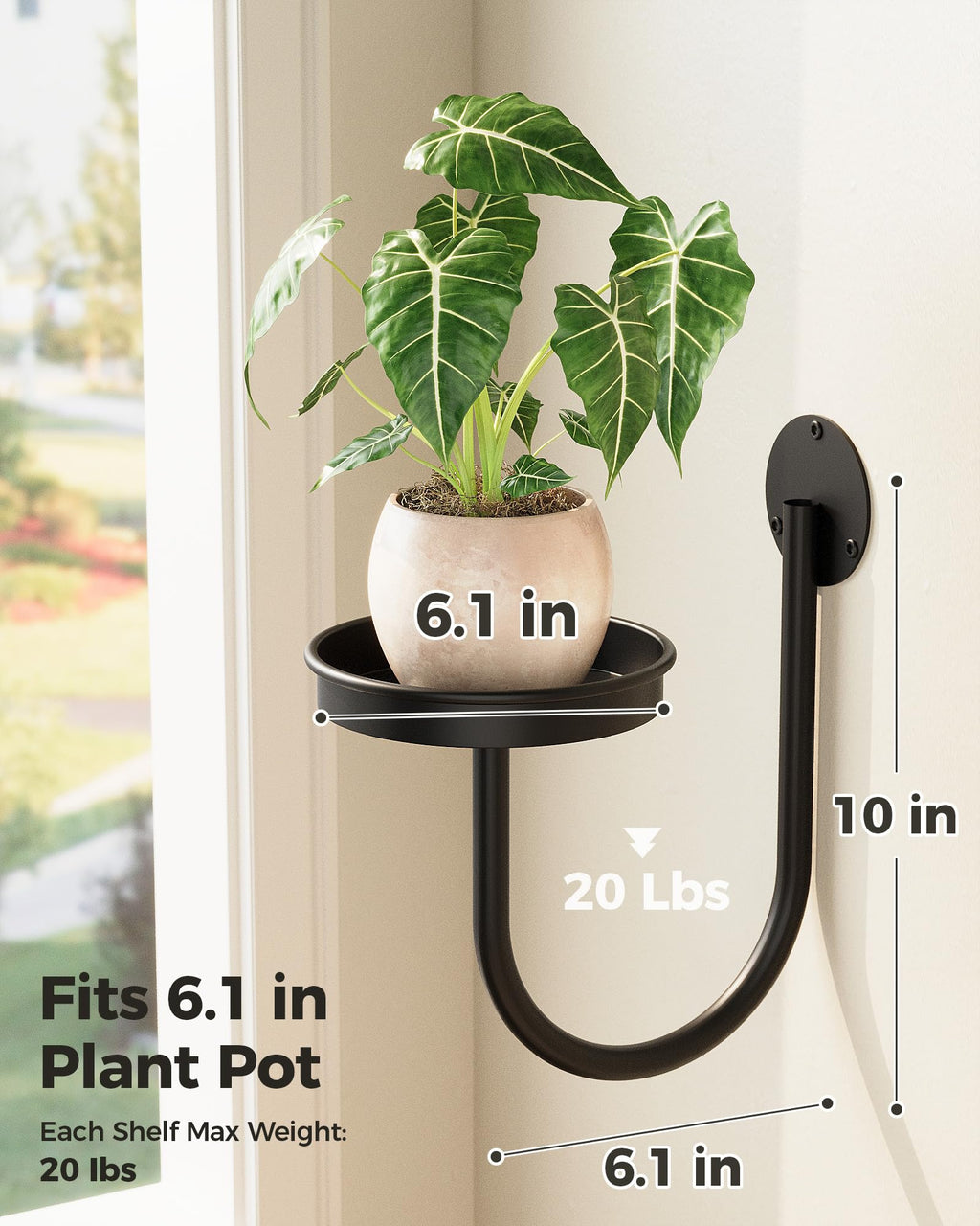 Bamworld Hanging Planters for Indoor Plants Wall Plant Holder Plant Hanger Indoor Wall Planters Window Plant Shelves Hanging Plant Holder Window Plant Hanger Plant Decor Black 3pcs