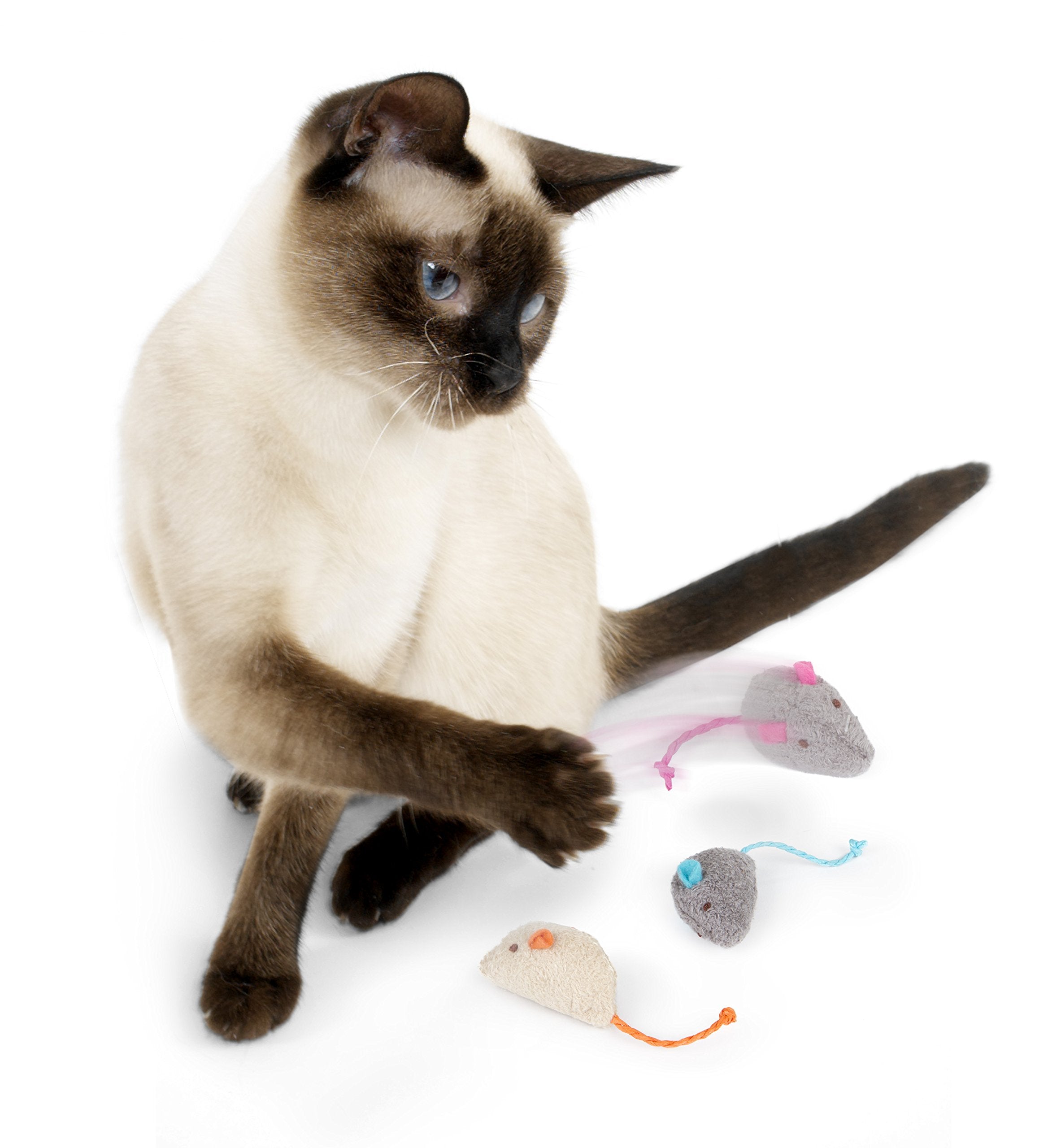 SmartyKat (2 Count) Silly Swimmers Crinkle Plush Catnip Cat Toys - Orange/Turquoise, 2 Count