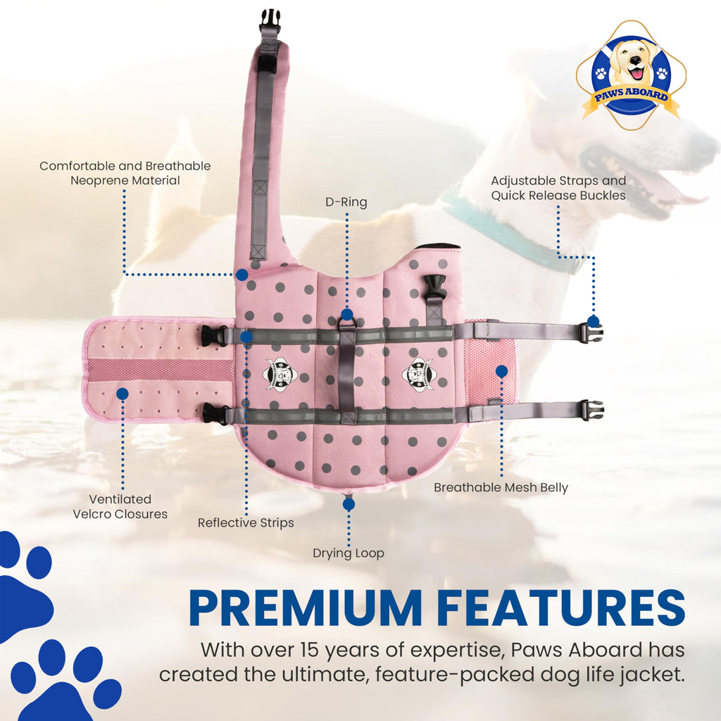 Dog Life Jacket — Premium Swim Vest with SafeChin Anti-Choke Collar | PAWS Aboard Blue & Yellow | RapidLift Rescue Handle, D-Ring, Reflective Trim | Boating, Kayaking, Pool | XX-Small (Under 6 lbs)