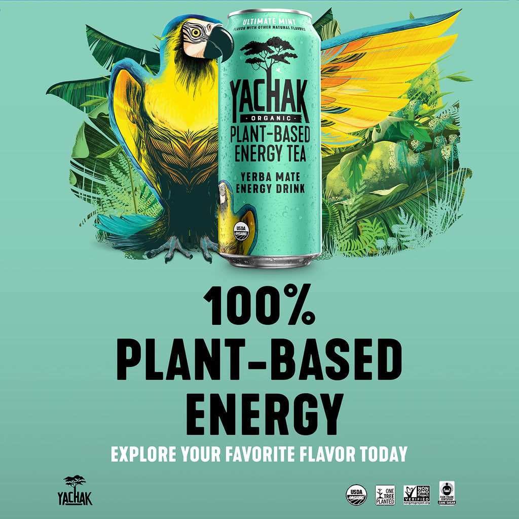 Yachak Yerba Mate Drink, Blackberry, 16 Fl Oz Cans, Pack of 12