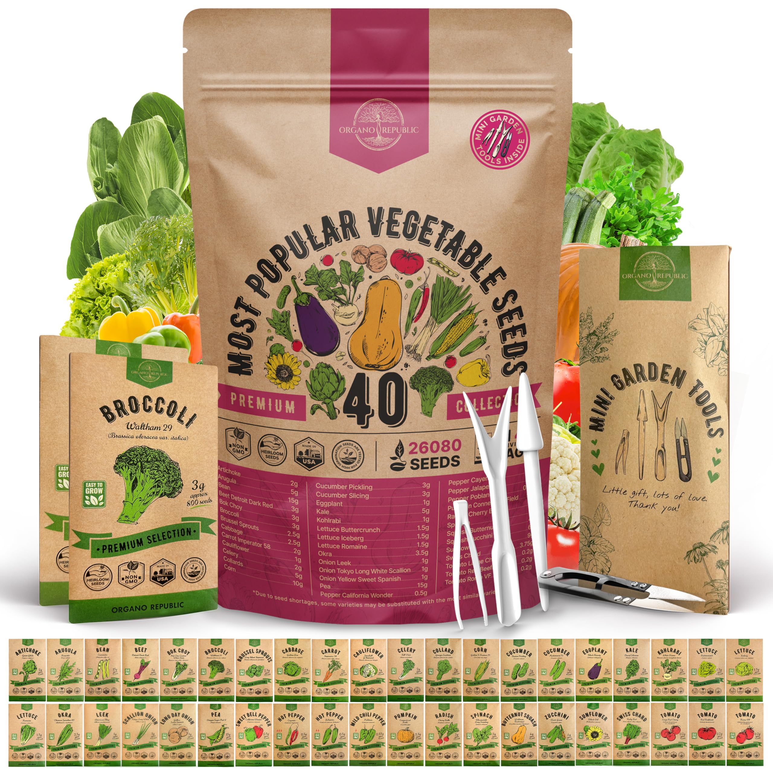 20 Vegetable Seeds Variety Pack - 12,465+ Non-GMO Heirloom Seeds for Planting Vegetables and Fruits in Individual Seed Packets, Home Garden Seed for Hydroponic, Indoor and Outdoors Gardening