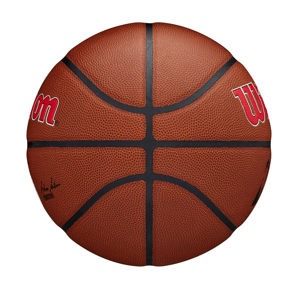 WILSON NBA Team Alliance Basketballs - Size 7-29.5"