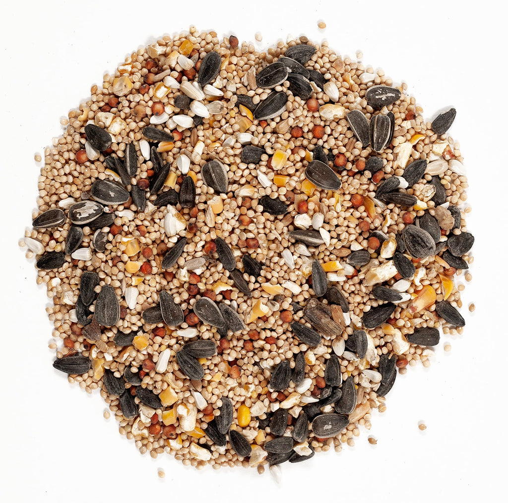 Wagner's 62011 Eastern Regional Blend Wild Bird Food, 8-Pound Bag