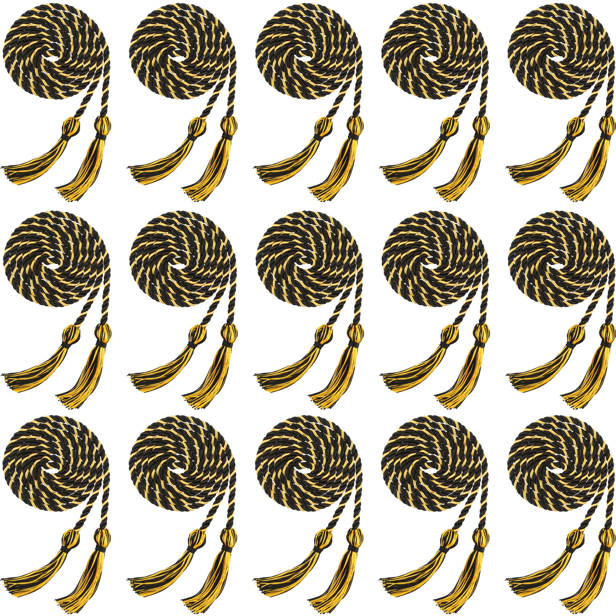 15 Pieces Graduation Honor Cord Braided Honor Cords with Tassels for Graduation Students (Black)