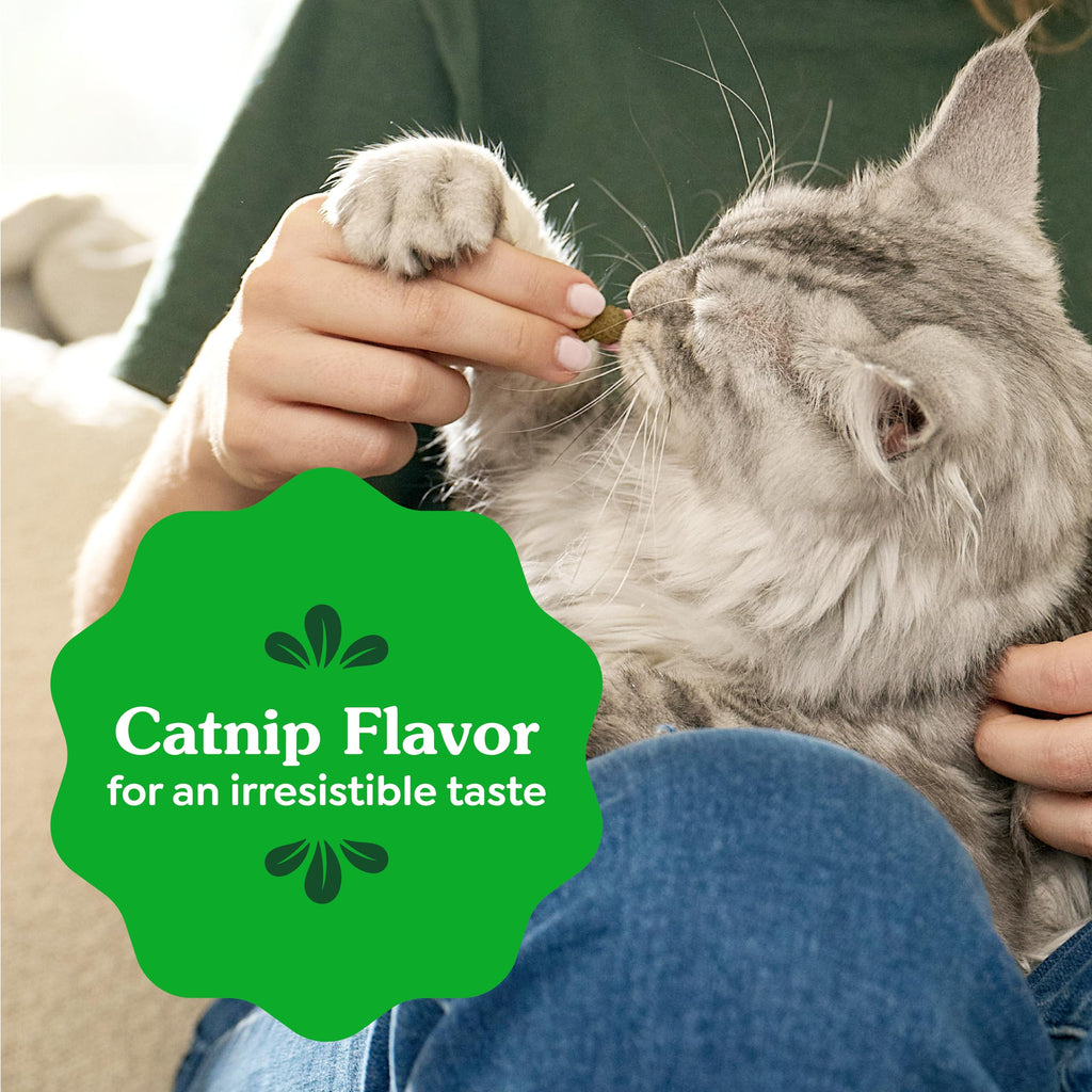 Greenies Cat Treats, Feline Veterinarian-Recommended Adult Natural Dental Treats, Catnip Flavor, 2.1 oz. Pouch