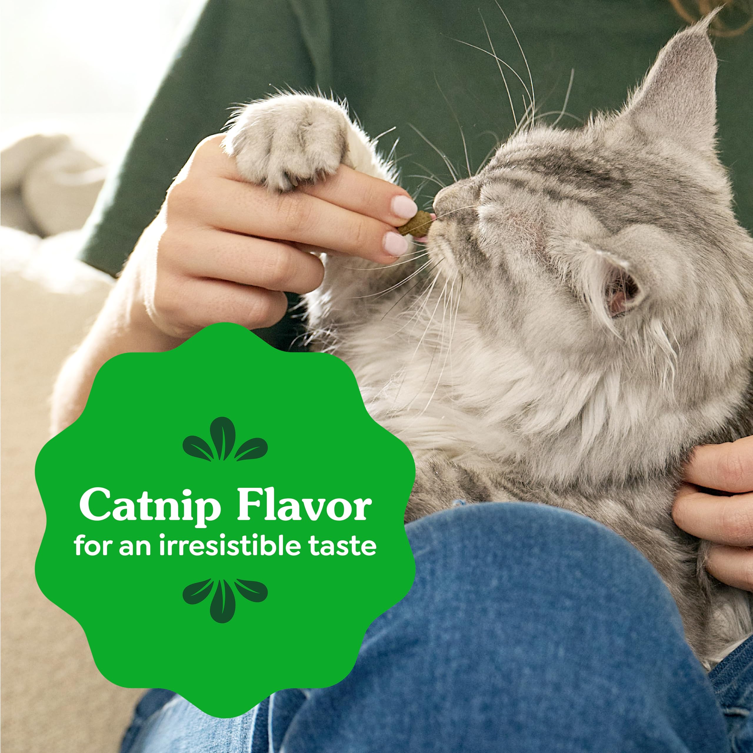 Greenies Cat Treats, Feline Veterinarian-Recommended Adult Natural Dental Treats, Catnip Flavor, 2.1 oz. Pouch
